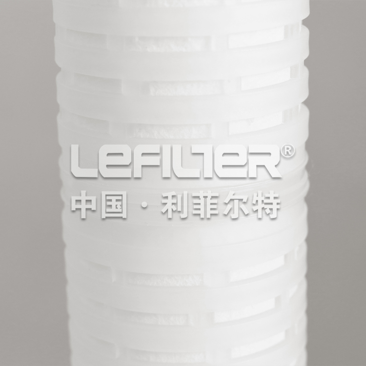 Pleated Cartridge Filter1